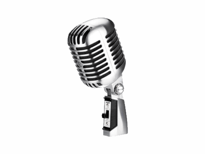 SHURE 55SH SERIES II Dinamik Vokal Mikrofon